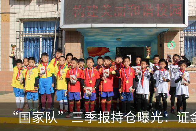 “国家队”三季报持仓曝光：证金重仓中国神华，社保基金增持中金岭南