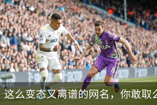 这么变态又离谱的网名，你敢取么？网友：每个网名的信息量都好大
