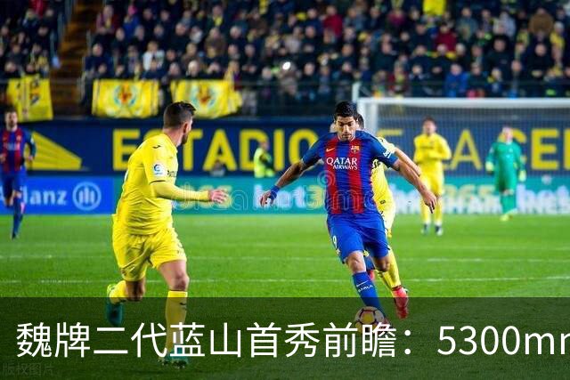 魏牌二代蓝山首秀前瞻：5300mm的方盒子、装了一套2.0T四挡混动